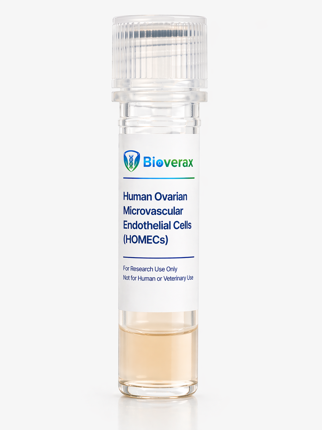Human Ovarian Microvascular Endothelial Cells (HOMECs)