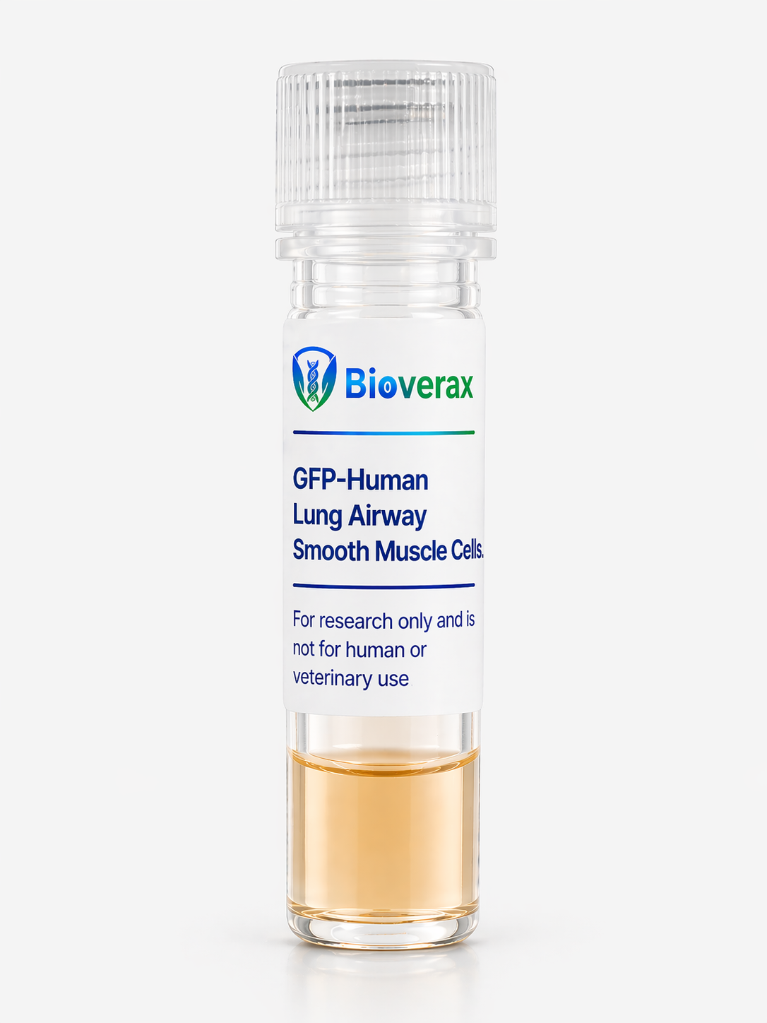 GFP-Human Lung Airway Smooth Muscle Cells