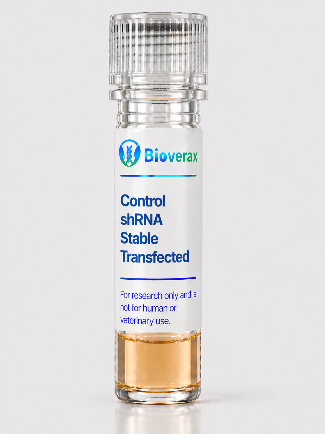 Control shRNA Stable Transfected HUVECs