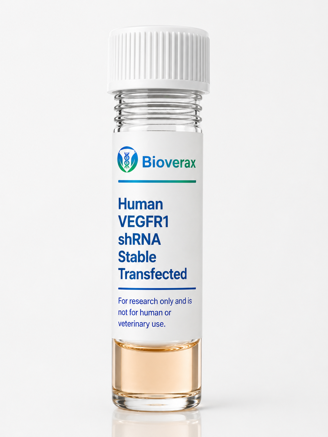 Human VEGFR1 shRNA Stable Transfected HUVECs