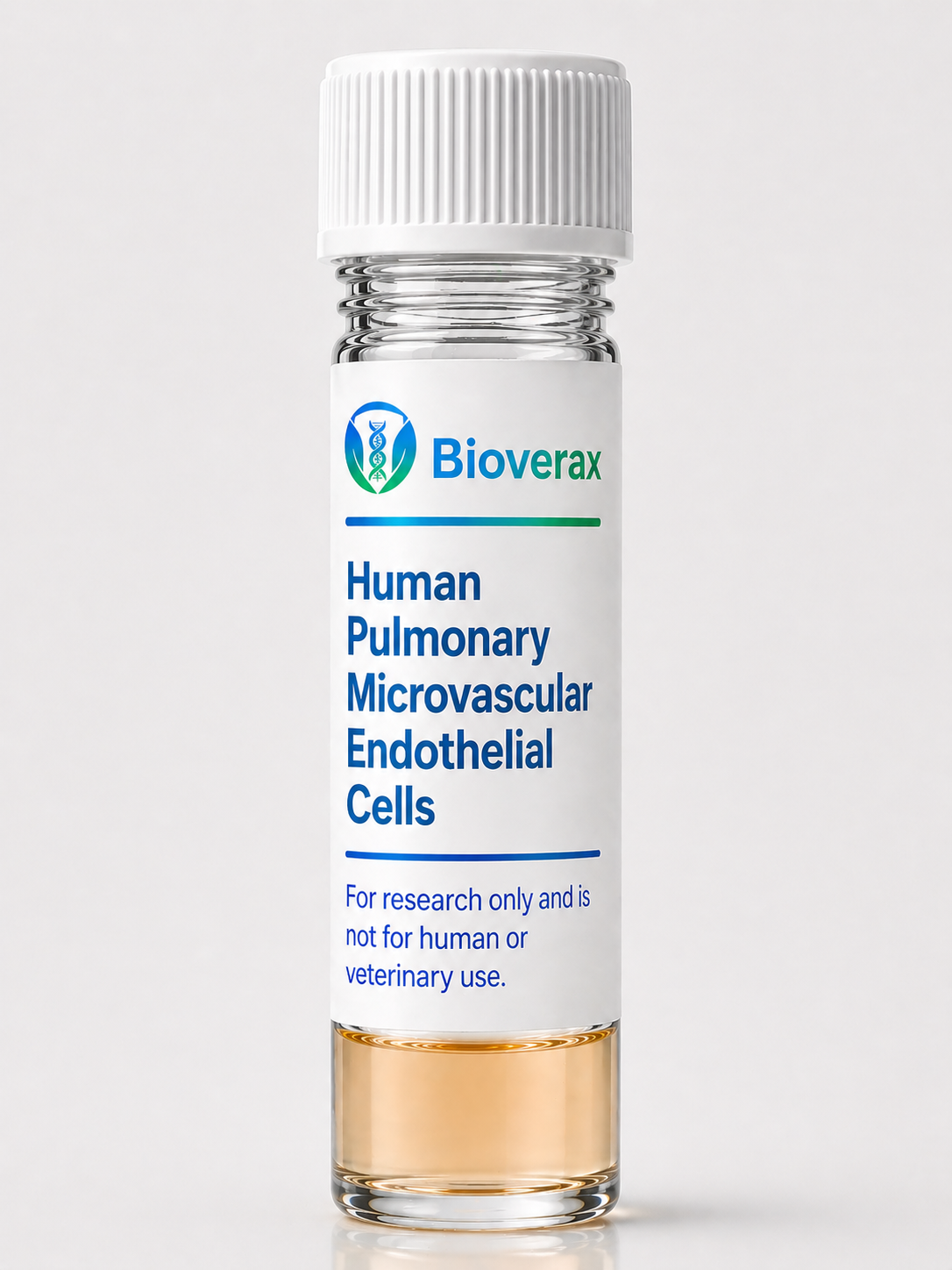 Human Pulmonary Lymphatic Microvascular Endothelial Cells