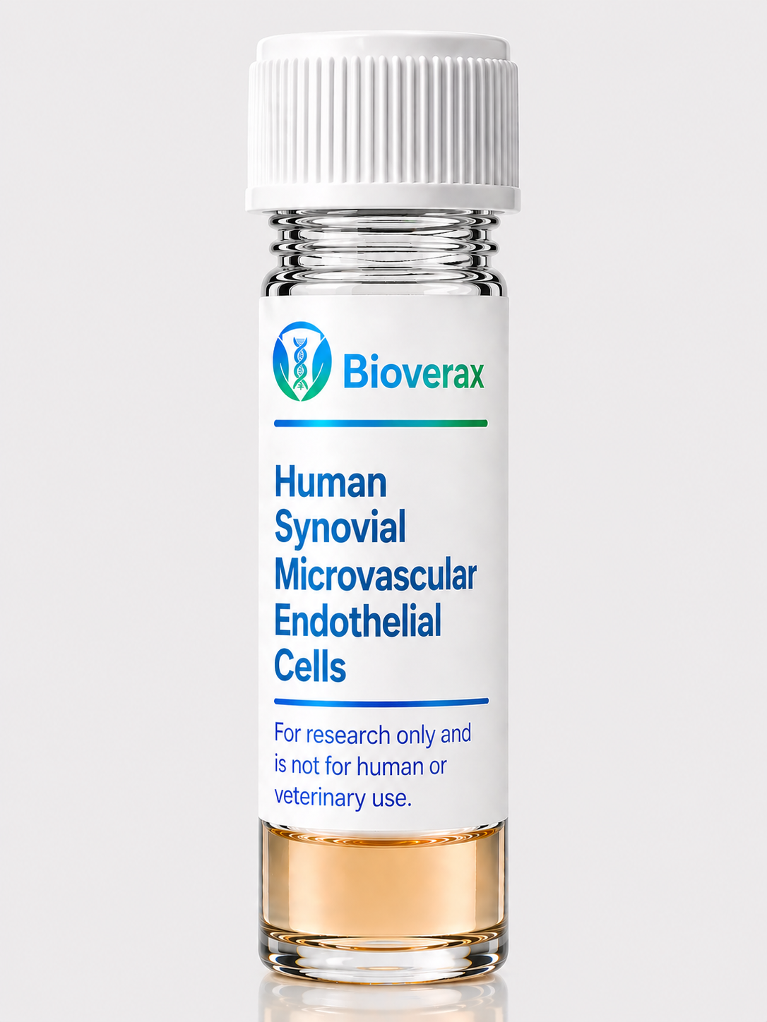 Human Synovial Microvascular Endothelial Cells