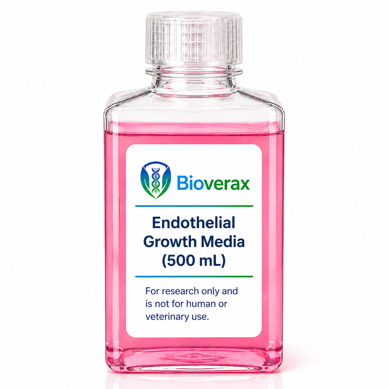 Endothelial -Growth Media