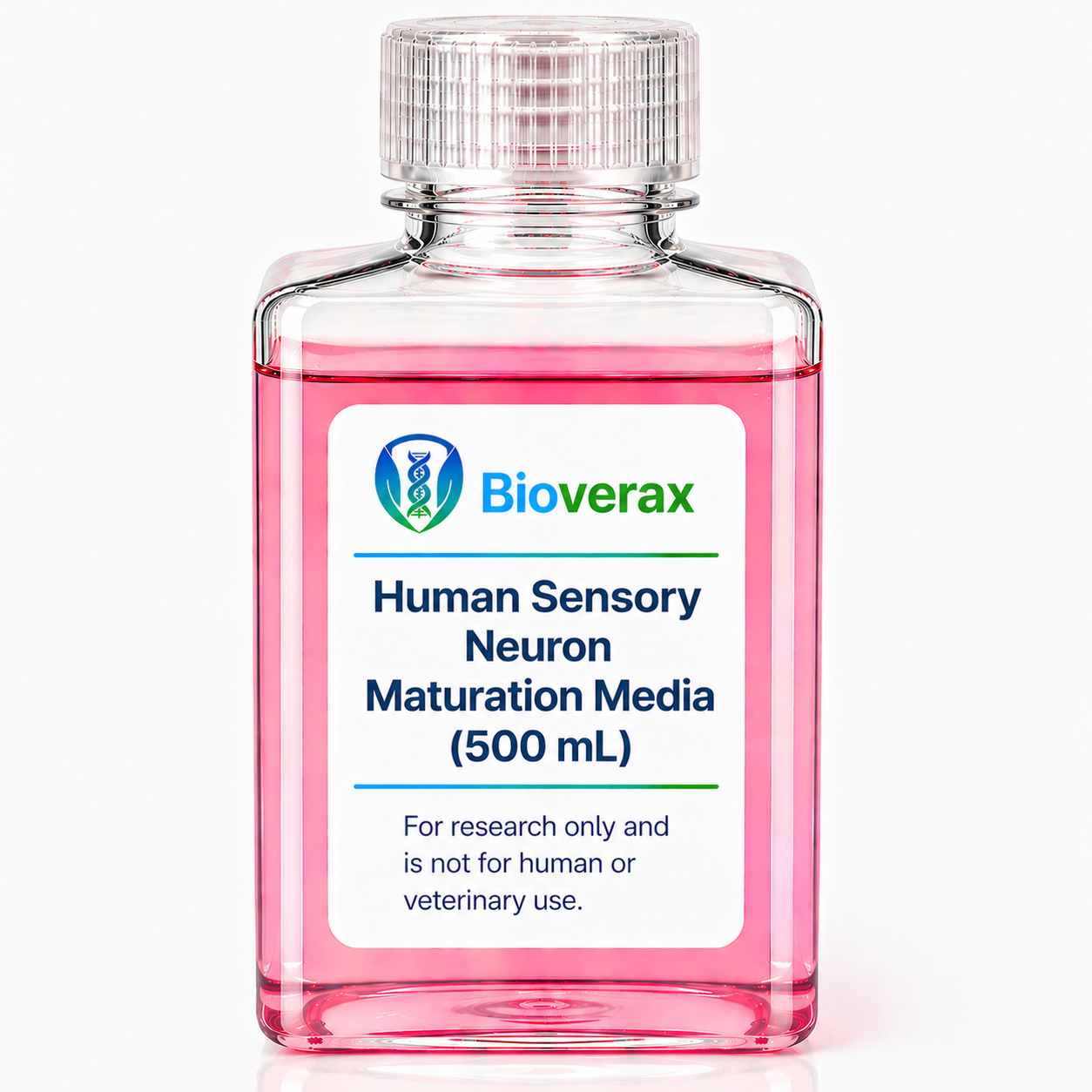 Human Sensory Neuron Maturation Media