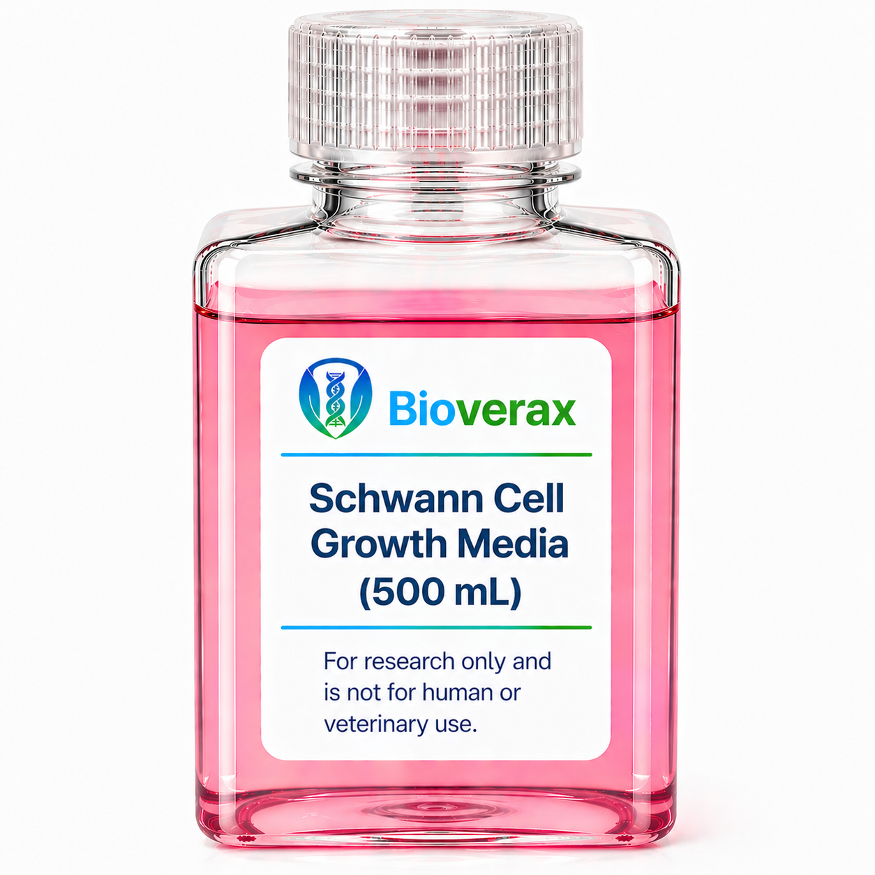 Schwann Cell Growth Media