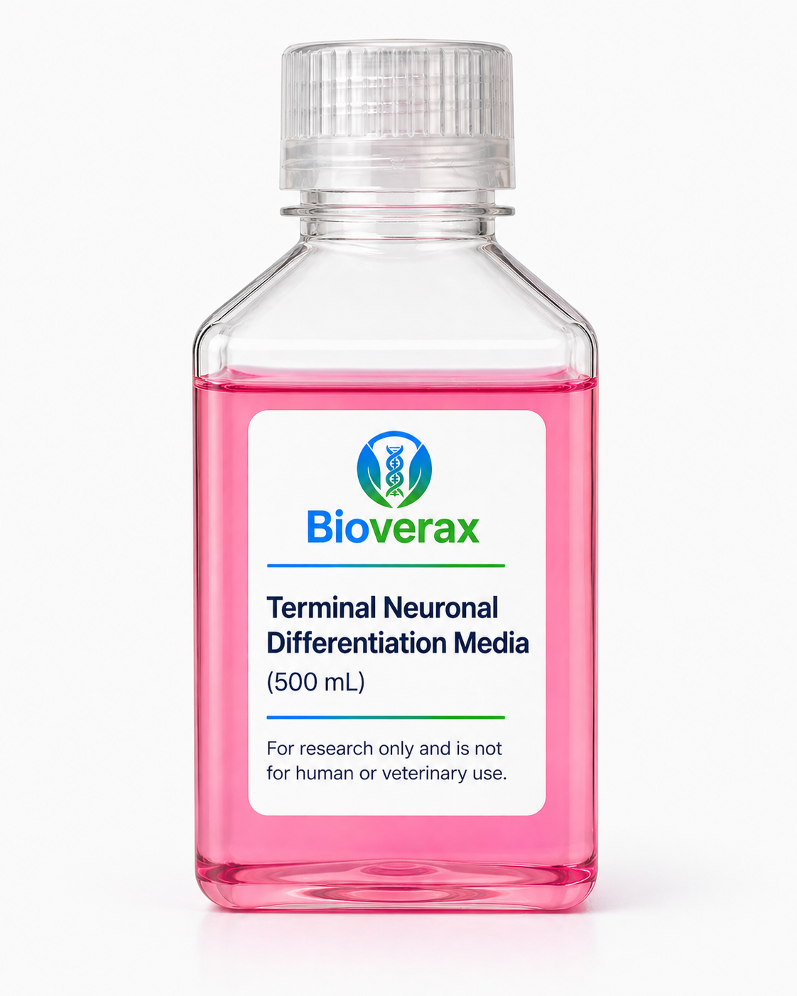 Terminal Neuronal Differentiation Media