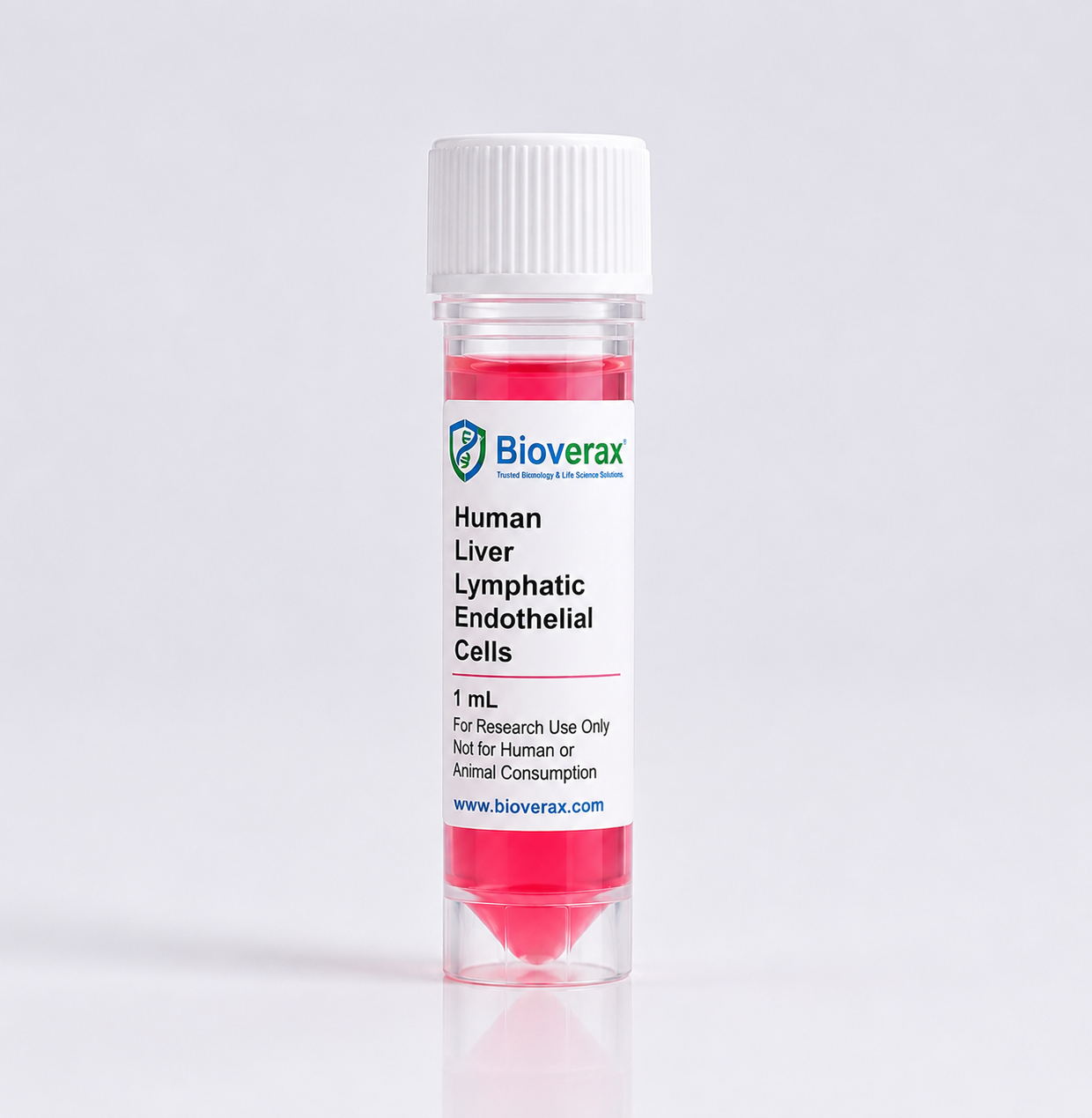 RFP Expressing Human Dermal Lymphatic Microvascular Endothelial Cells
