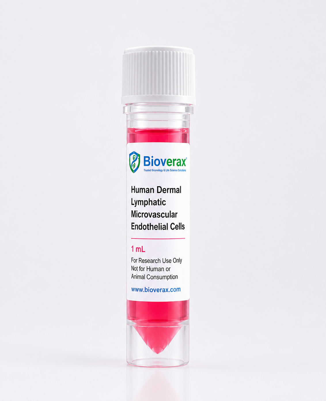 Human Dermal Lymphatic Microvascular Endothelial Cells