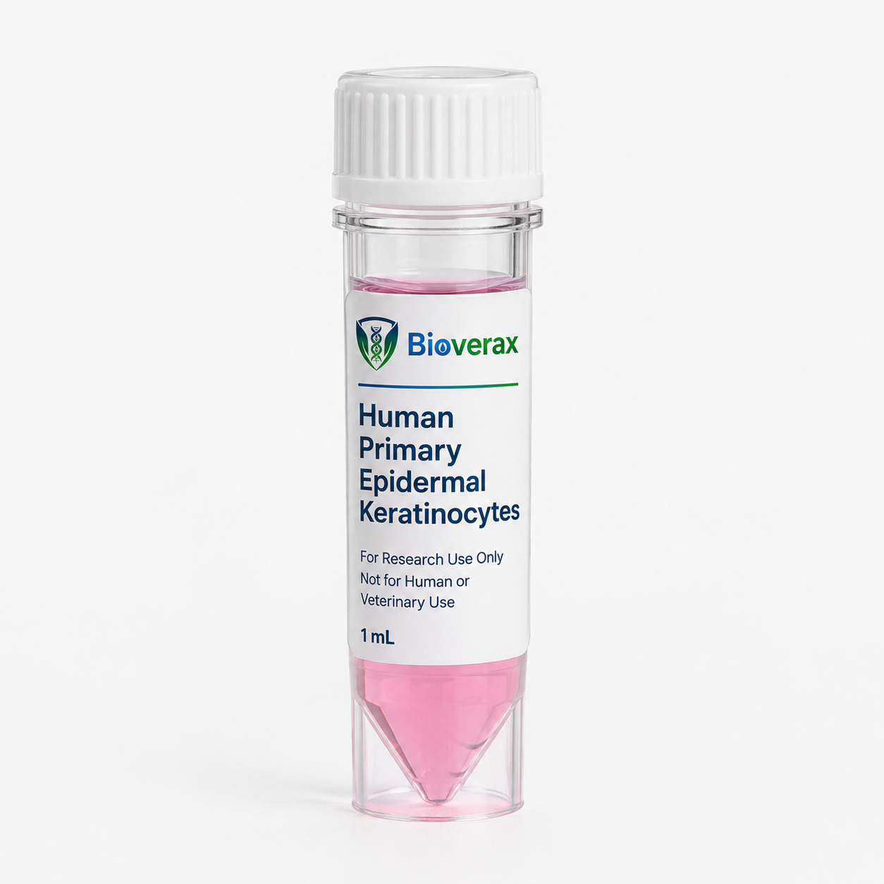 Human Primary Epidermal Keratinocytes