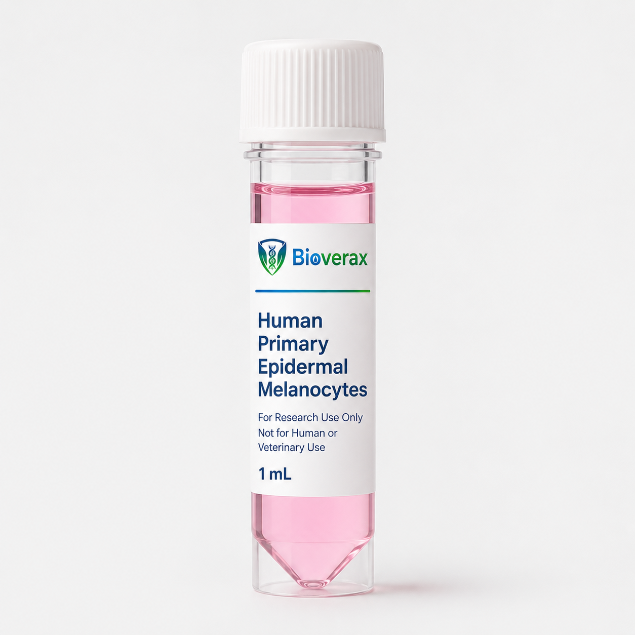 Human Primary Epidermal Melanocytes (hMela)