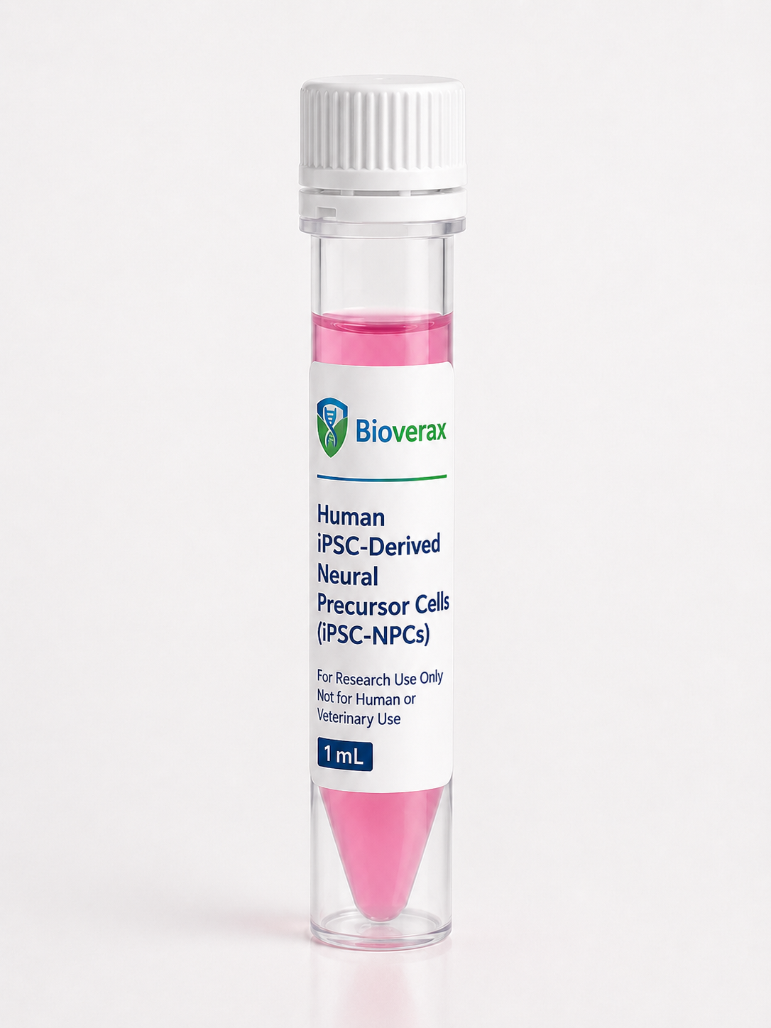 Human iPSC-Derived Neural Precursor Cells (iPSC-NPCs)